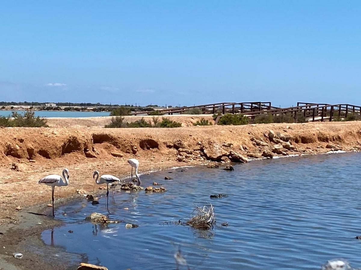 Torre de la Horadada Bianca Beach 222 - Mil Palmeras, Vista Piscina Y Mar מראה חיצוני תמונה